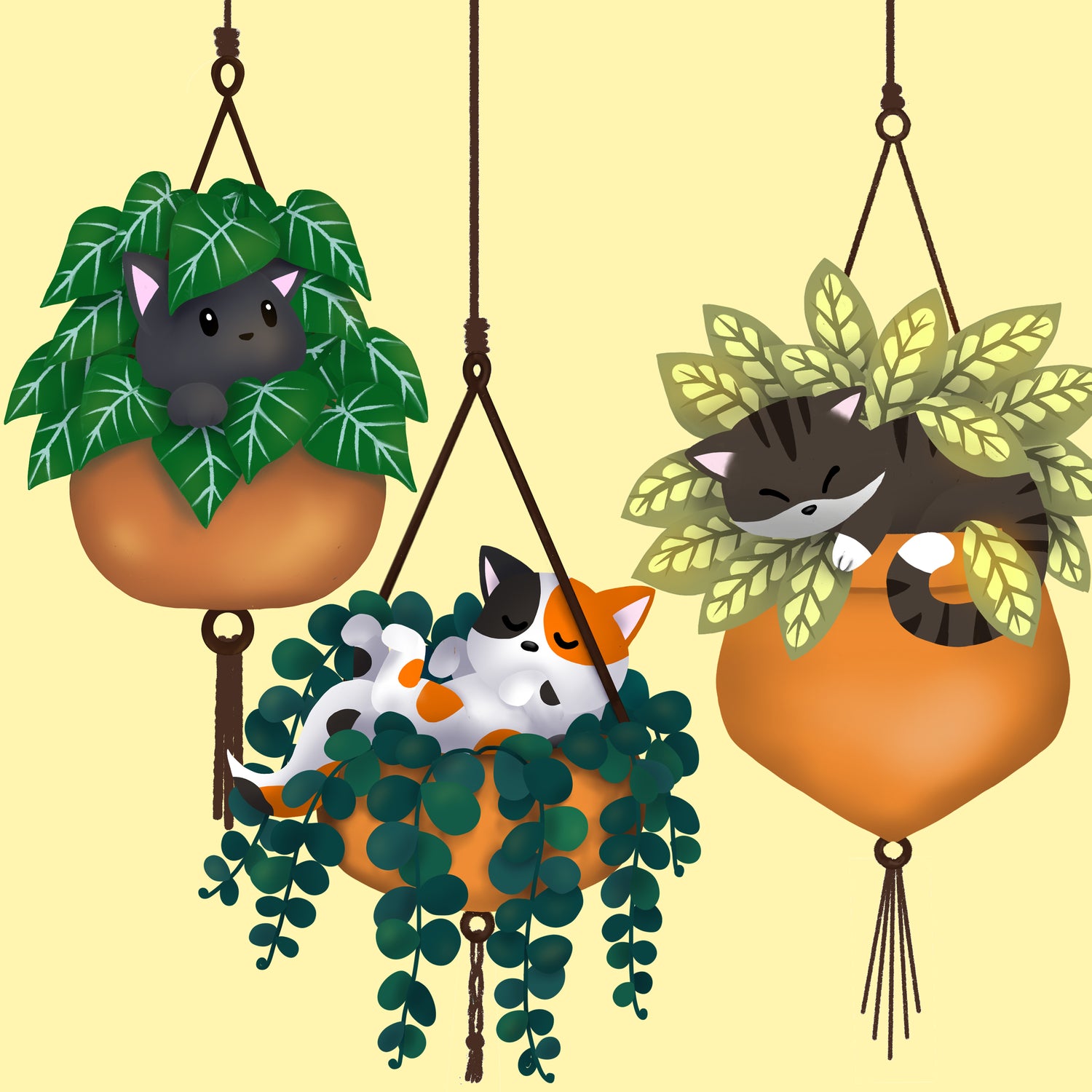 Pot Plant Kitties