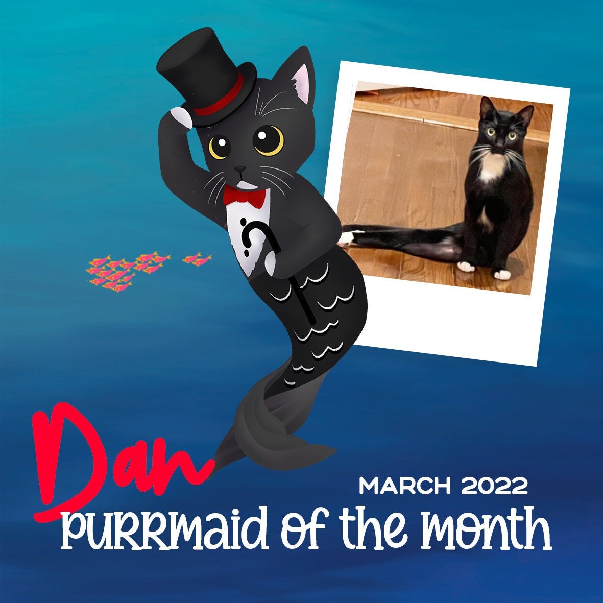 Purrman Dapper Dan (Purrmaid of the Month, March 2022) - Small Enamel Pin, Charity Pin, Pins, Brooches & Lapel Pins