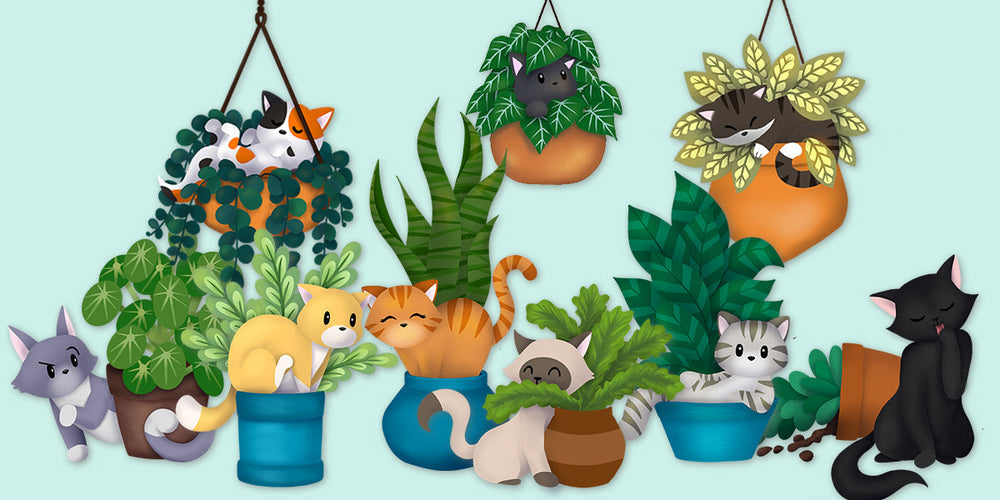 Pot Plant Kitties.. Sprouting Soon!