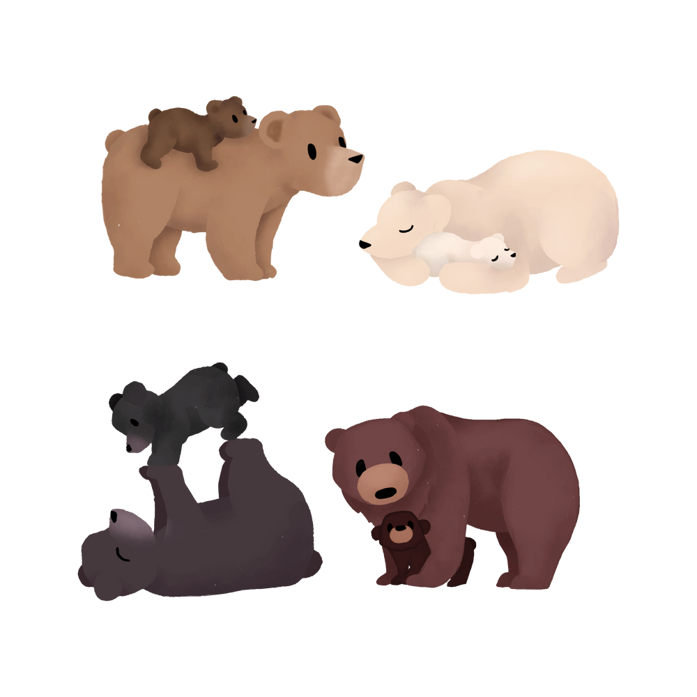 Bears