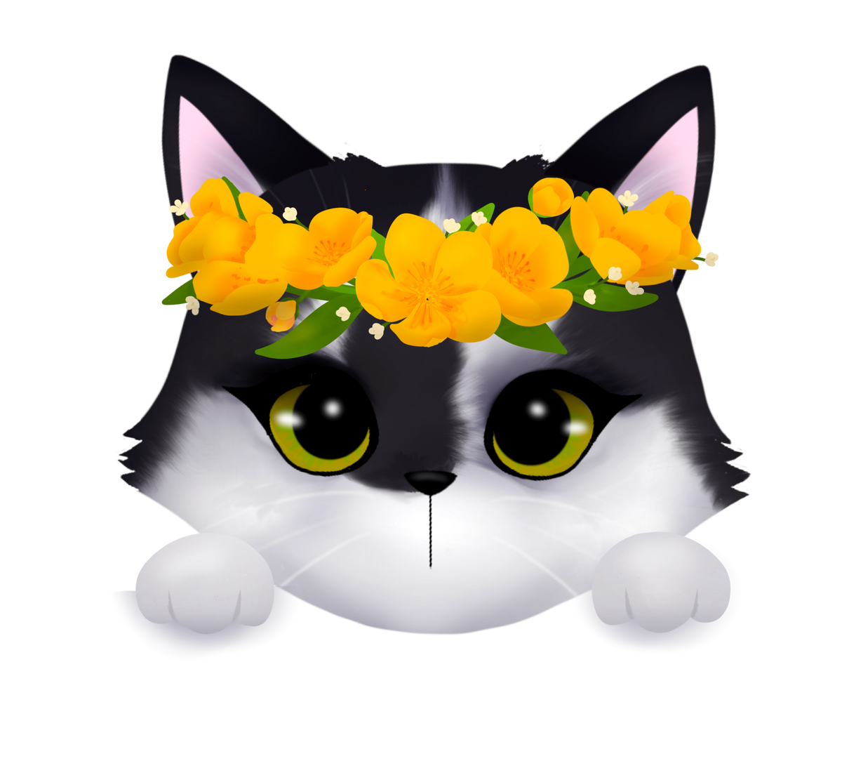 Phoebe the CH Kitty