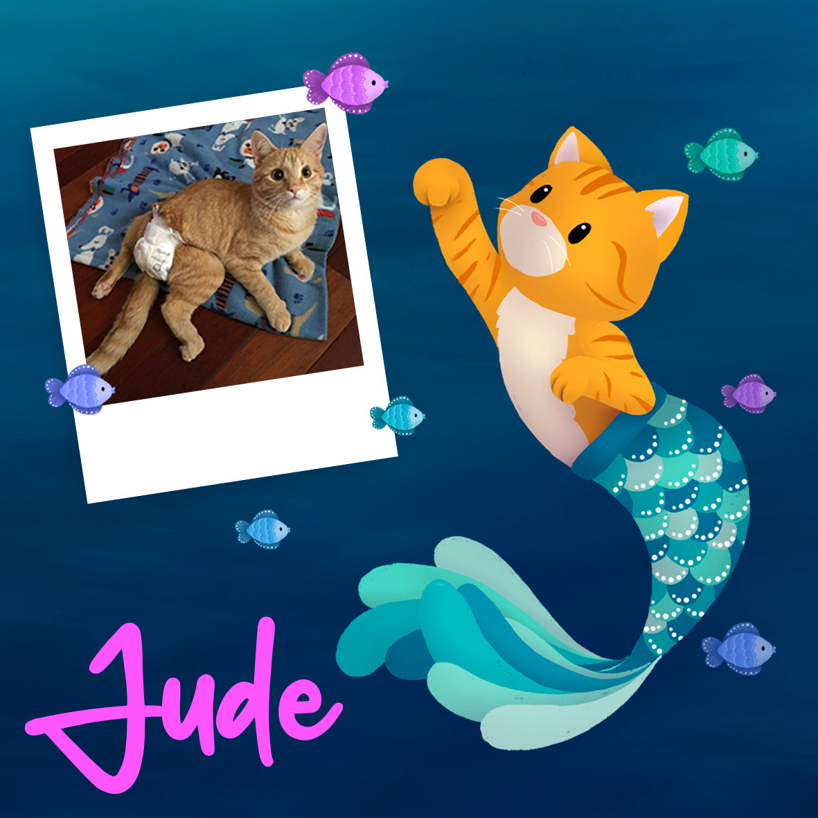 Purrman Jude