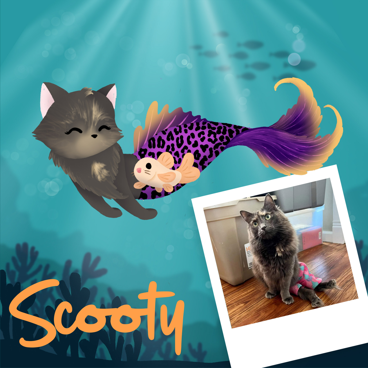 Purrmaid Scooty