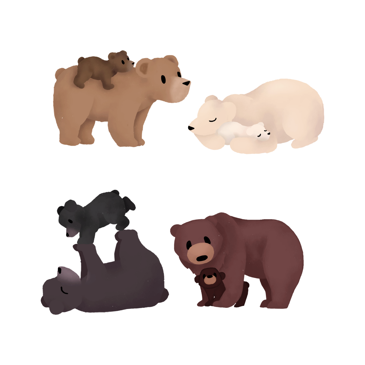 Bears