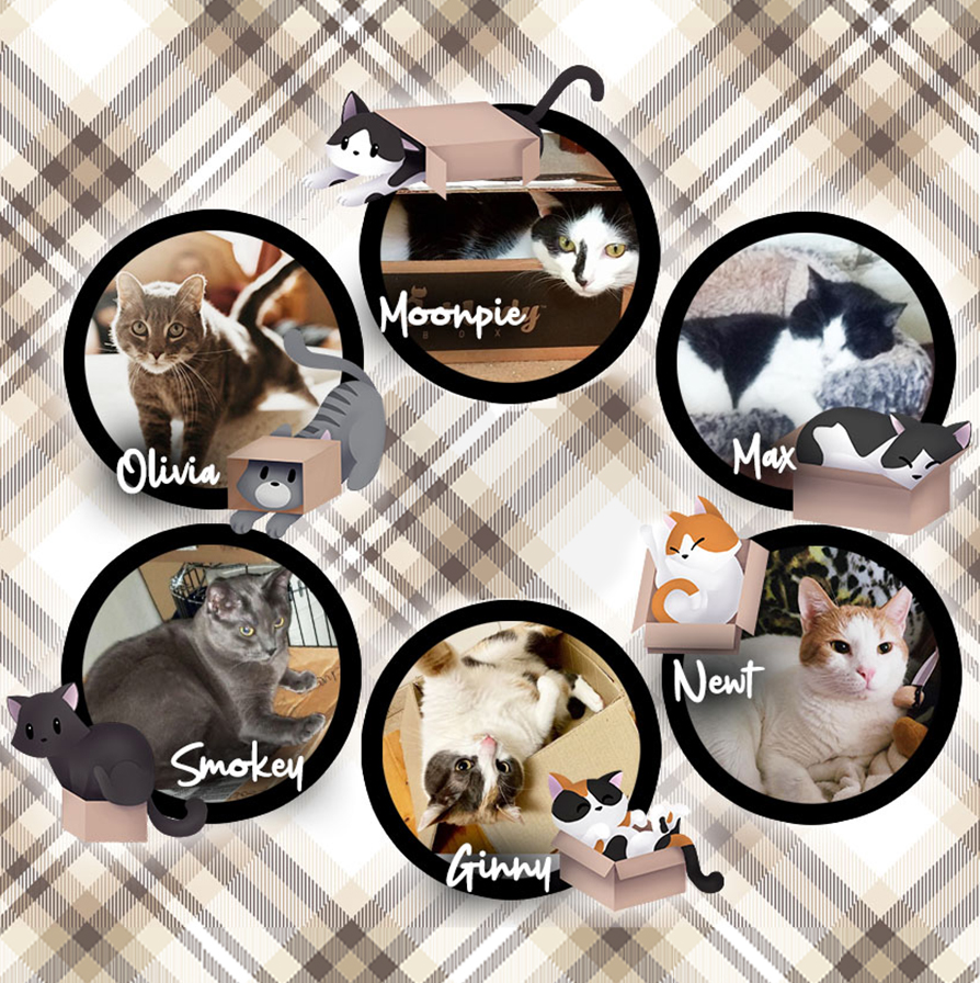 Kitty in a Box - Past Rewards