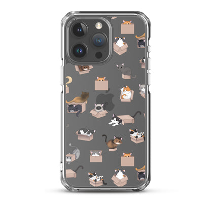 Kitty in a Box iPhone Clear Case