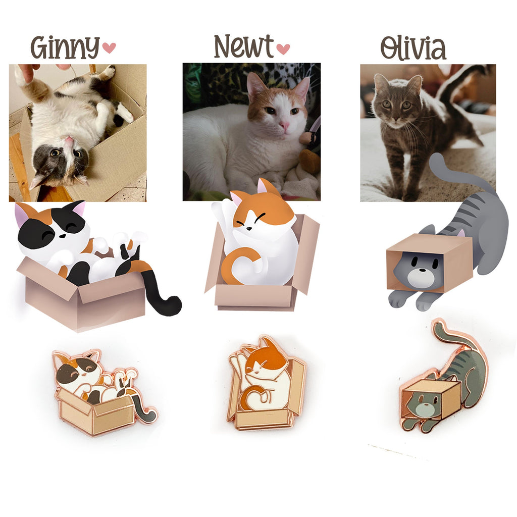 Kitty-in-a-Box, Pin Set of 6