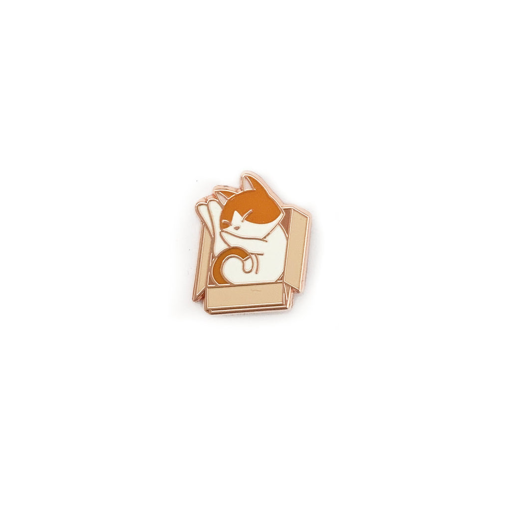 Kitty-in-a-Box, Newt Pin