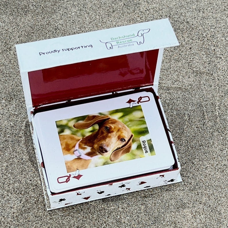 Dachshund Card Deck - &quot;52 Dachshunds of Melbourne&quot; Playing Cards, Helen Black Photography, Miscellaneous,