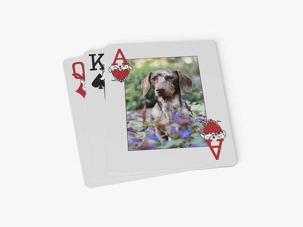 Dachshund Card Deck - &quot;52 Dachshunds of Melbourne&quot; Playing Cards, Helen Black Photography, Miscellaneous,