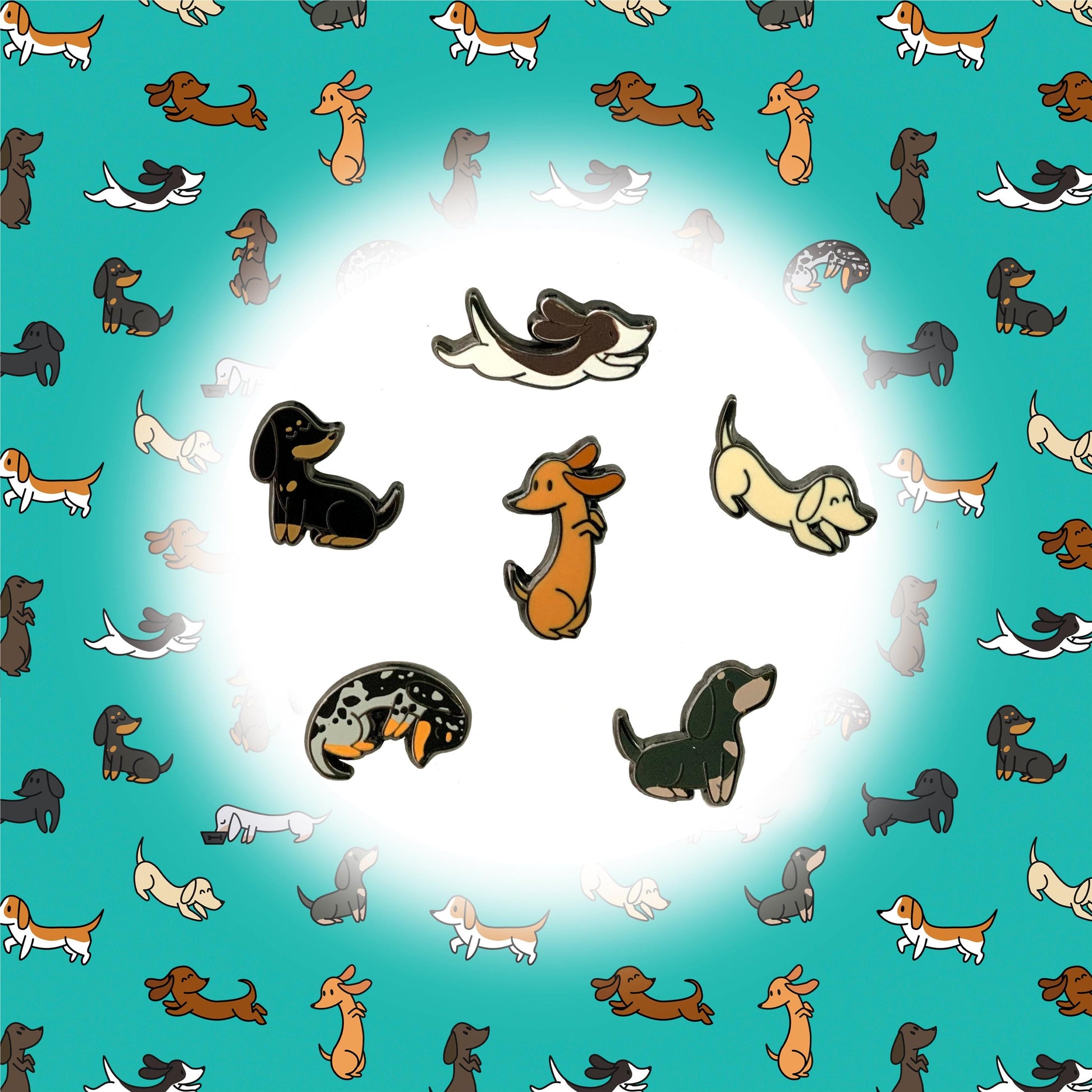 Dachshund Pin, Black & Tan, Sitting Looking Up