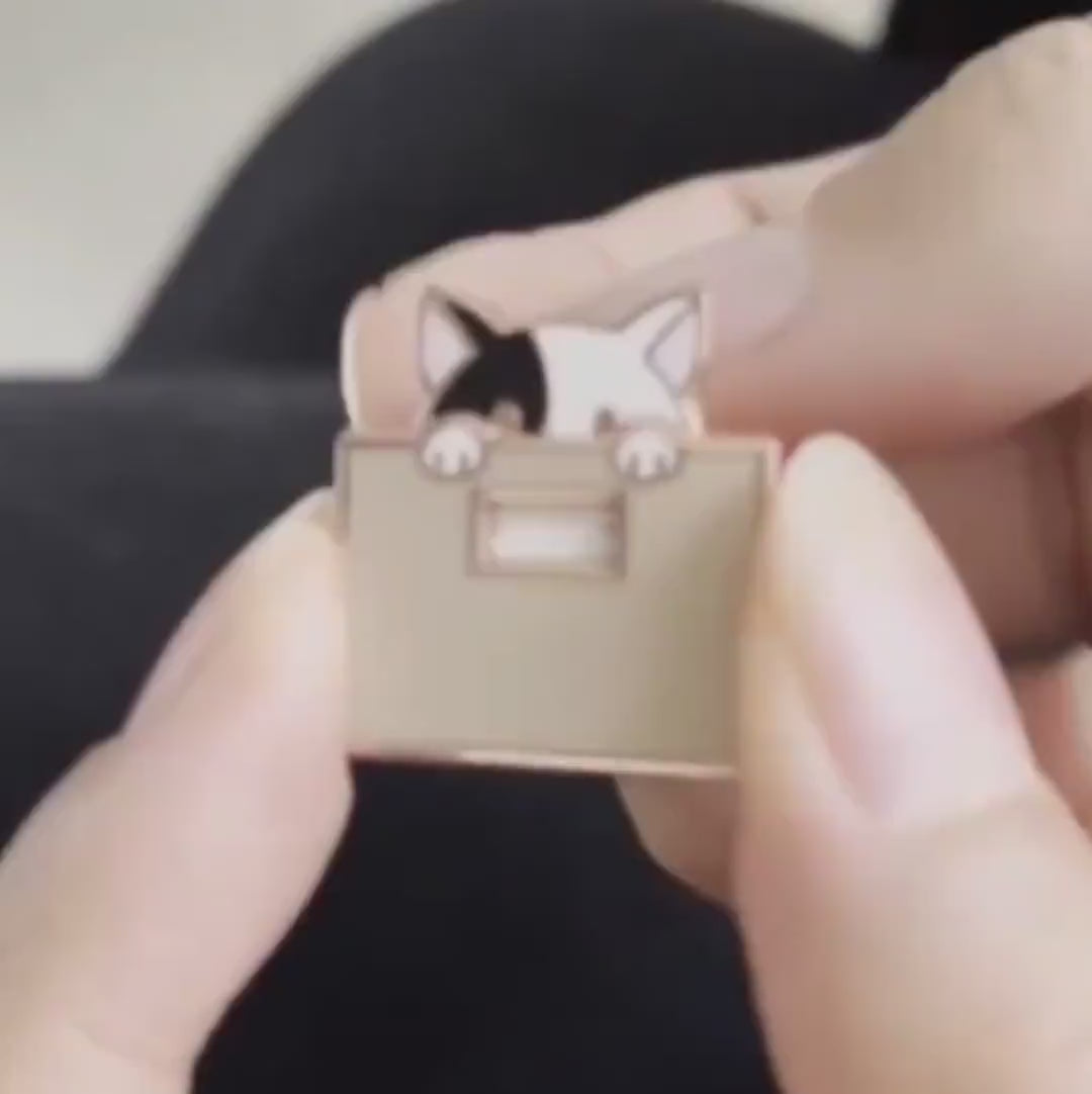 Kitty-in-a-box - Interactive Slider Enamel Pin