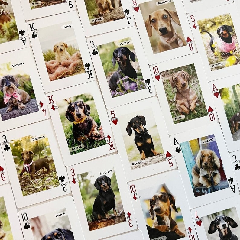 Dachshund Card Deck - &quot;52 Dachshunds of Melbourne&quot; Playing Cards, Helen Black Photography, Miscellaneous,